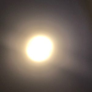 Meet your Posher, Ariana